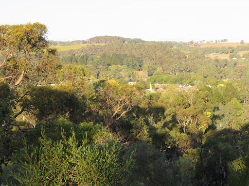 blueberry hill lions lookout