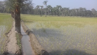 Photos of Golden Crops Irrigation Project