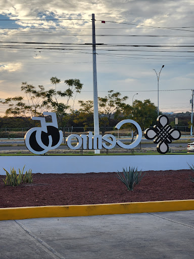 Plaza Centro 55