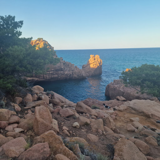 COCCOROCCi - Visual