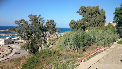 Photos of La Petite Plage