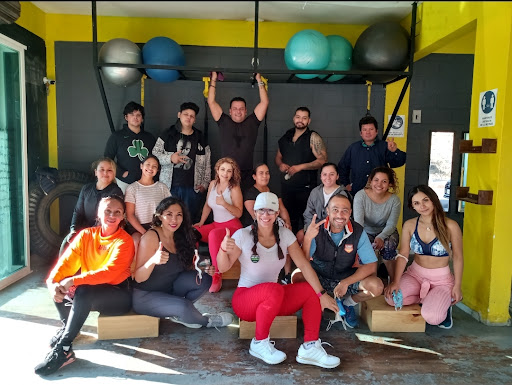Vitalfitness - Thumbnail