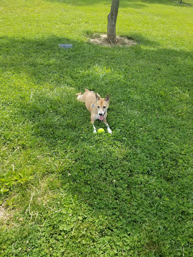Furfield Dog Park - Thumbnail