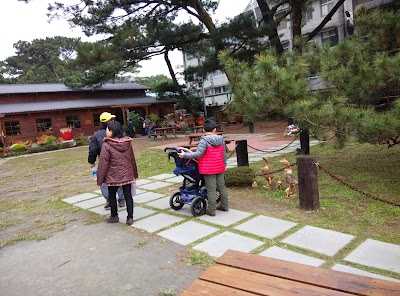 photo of Pine Garden