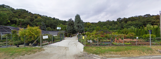 Azienda Agricola Posti - Thumbnail