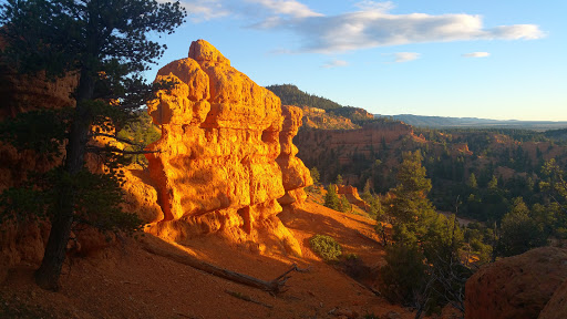 Losee Canyon Trailhead - Thumbnail