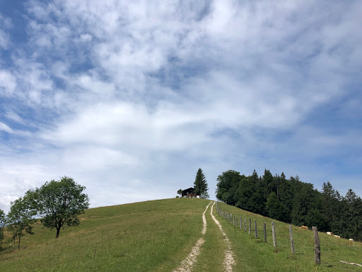 Adersberg-Höhenrundweg - Thumbnail