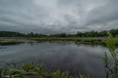 Keeney Swamp State Forest