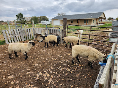 Central WA Livestock, Inc. 14372 N Frontage Rd, Moses Lake, WA 98837