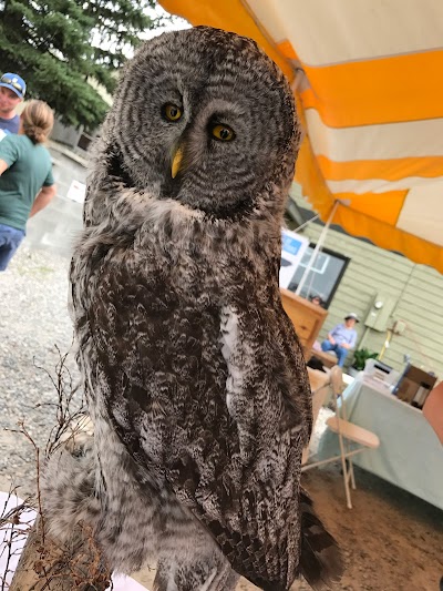 Montana Raptor Conservation Center