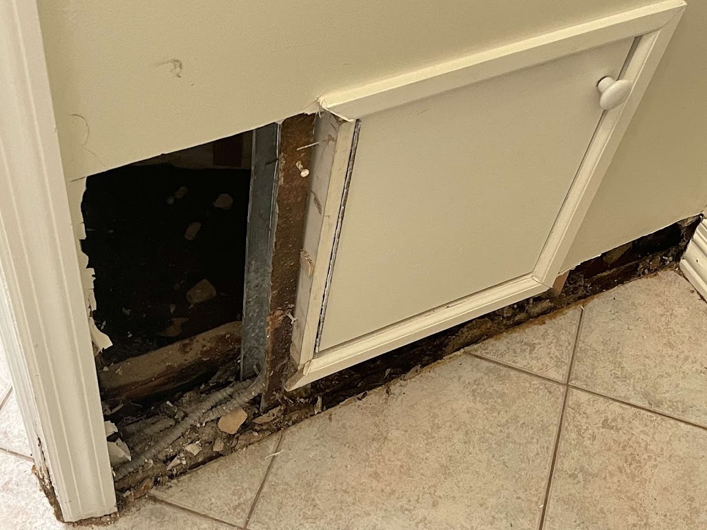 Dr Mold Removal Service photo