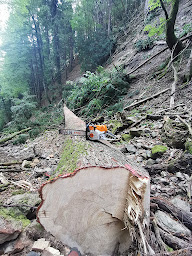 Photo n°10 de Nico travaux forestiers à Rumilly (Service d'élagage)
