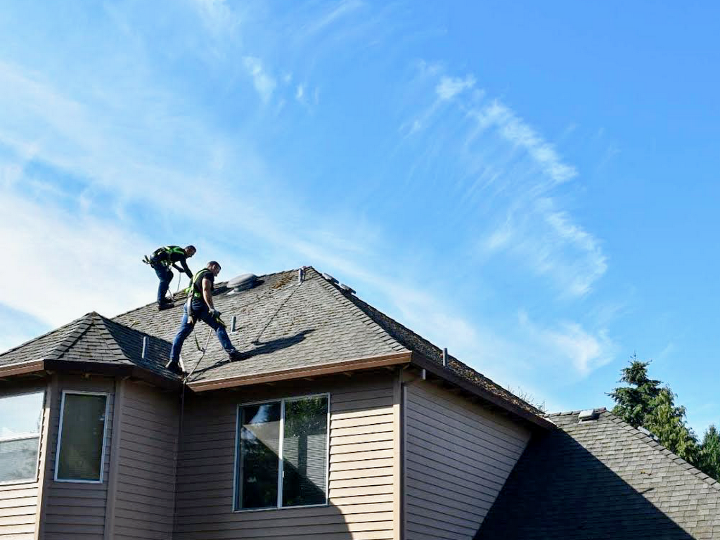 PDX BROTHERS Roof Cleaning & Roof Moss Removal