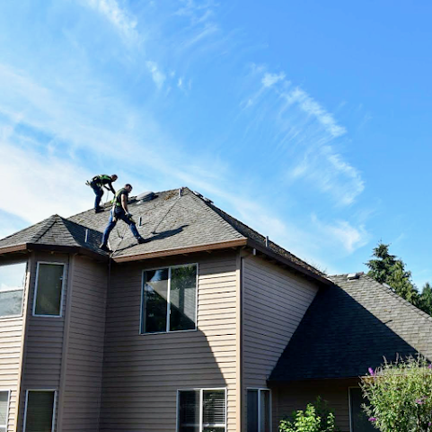 PDX BROTHERS Roof Cleaning & Roof Moss Removal