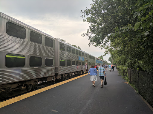 Ravinia Park - Visual