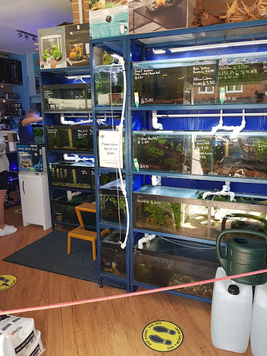 Marine Fish World Limited - Thumbnail