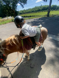 Photo n°2 de Écurie du Pradeaux à Neuvic (Centre équestre)
