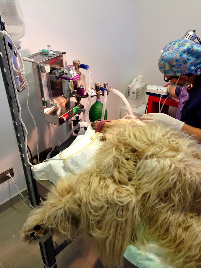 Servei Veterinari La Garriga
