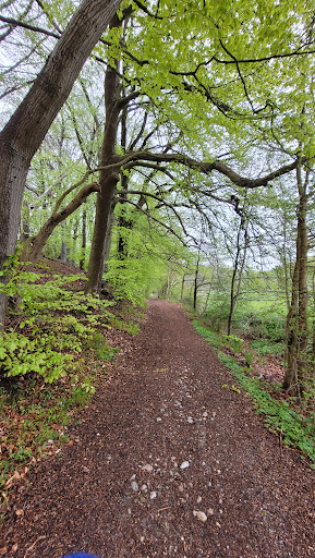 Härenbeker Teich - Thumbnail