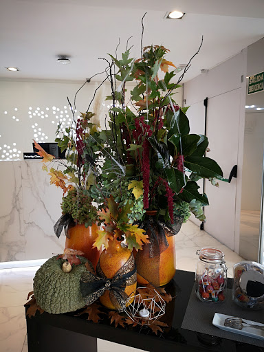 Orquídea Haus - Thumbnail
