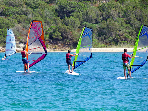 Dolphin Windsurf - Visual