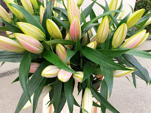 Photo n°3 de Au Marche Fleuri à Quessoy (Magasin)