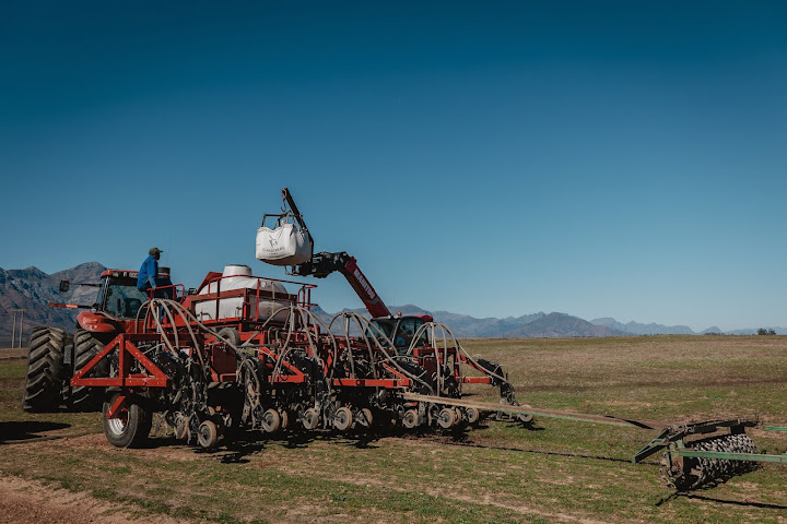 Bartholomeus Klip by null