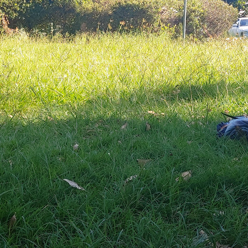 Charles Barton Park - Thumbnail