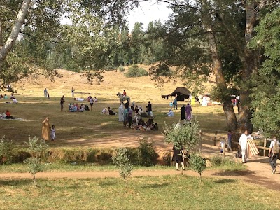 Photos of Ifrane National Park
