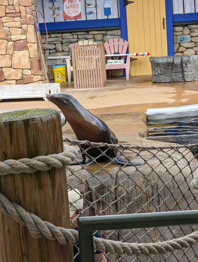 Lichtenstein Sea Lion Arena - Thumbnail