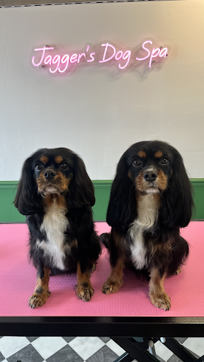 Jagger's Dog Spa