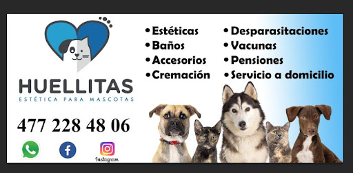 Huellitas estética para mascotas - Thumbnail