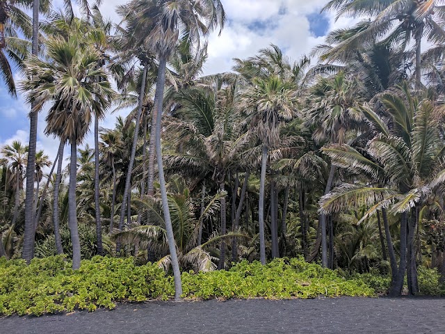 Punalu'u Black Sand Beach