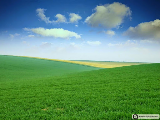 Farm Country Insurance - Thumbnail