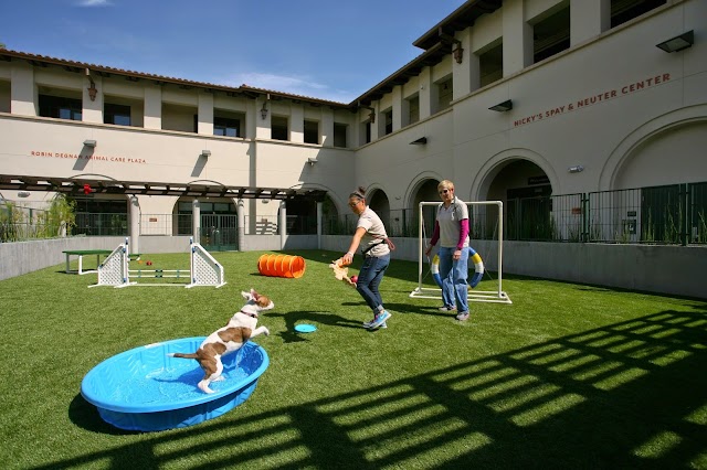 Pasadena Humane Society & SPCA