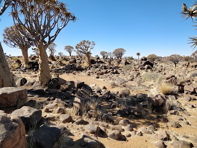 Photos of Camping (Quiver Tree Forest Camp)