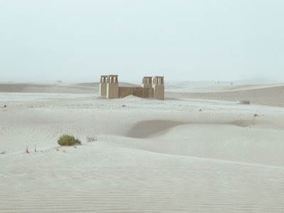 Photos of Evening Desert Safari