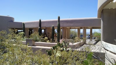 Photos of Saguaro National Park