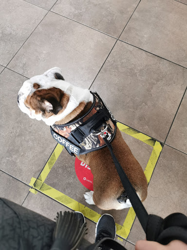 Sierra Madre Veterinary Hospital Gallery - Mexico