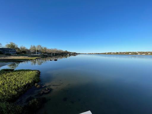 Collins Cove
