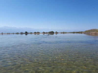 Photos of Dikiy Plyazh