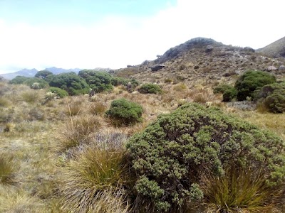 Photos of P&aacute;ramo De Santurb&aacute;n