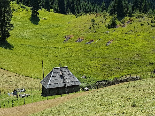 Durmitor National Park