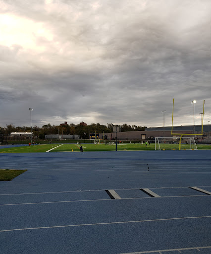 Hadzic Field - Visual