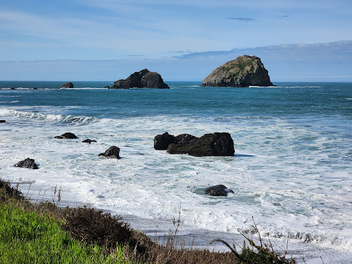 Del Norte Coast Redwoods State Park - Thumbnail