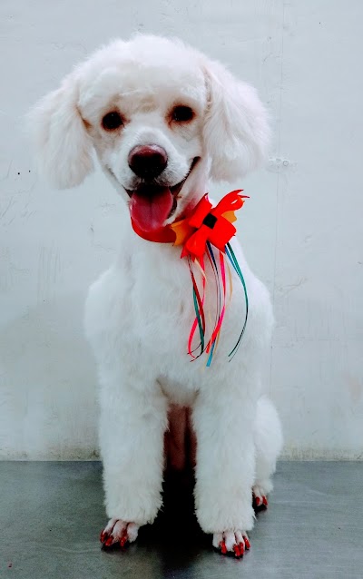 Photos of San Francisco Veterinary