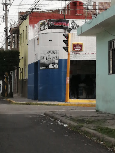 Tornillos Nova - Visual