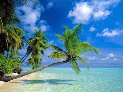 Photos of Sebesi Island