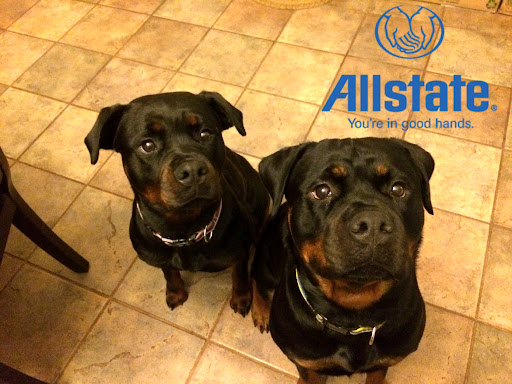 Bayview Insurance: Allstate Insurance - Thumbnail