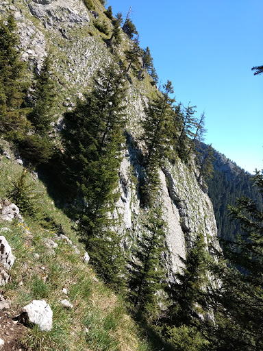 Burgberger Hörnle 1497m Gallery - Germany